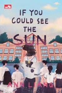 Image of IF YOU COULD SEE THE SUN